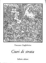 Ciuri di strata