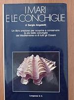 I mari e le conchiglie