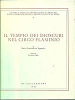 Il tempio dei Dioscuri nel Circo Flaminio