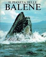 Il pianeta delle balene