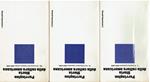 Storia della cultura americana - 3 volumi: I, Il pensiero coloniale 1620-1800 II, La rivoluzione romantica 1800-1860 III, L'avvento del realismo critico 1860-1920