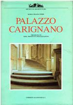 Palazzo Carignano. Tre secoli di idee, progetti e relaizzazioni