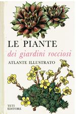 Le piante dei giardini rocciosi