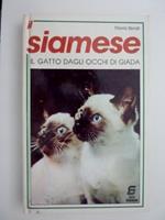 Il Siamese Il Gatto Dagli Occhi Di Giada