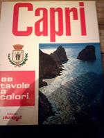 Capri 88 tavole a colori