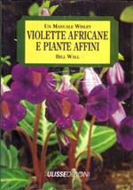 Violette africane e piante affini