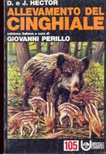 Allevamento del cinghiale