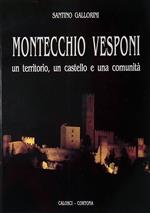 Montecchio Vesponi. Un territorio, un castello e una comunità