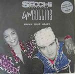 Stefano Secchi Featuring Lyn Collins: Break Your Heart