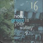 How Green Is Your Valley ?