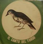 Il Canto Del Tordo