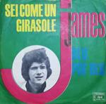 James Iotti: Sei Come Un Girasole / Blu Piu' Blu