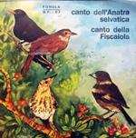 Canto Dell'Anatra Selvatica / Canto Della Fiscaiola