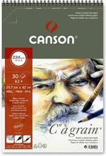 Blocco Canson C''a'' Grain A3+ 244 Gr 30 Fogli Grana Fine