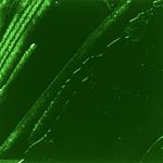 Pittura ad olio XL Studio - Smeraldo ftalocianina - 200 ml