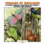 Sounds of Nature. Cicadas and Crickets