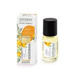 Esteban Paris Concentrato Di Profumo Per Diffusori Ambiente Ambre Et Baumes 15 Ml