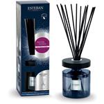 Esteban Paris Diffusore A Bastoncino Bouquet 200Ml Figuier & Tonka Profumatori Ambienti