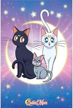 Sailor Moon Lun, Artemis & Diana Poster