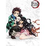 Demon Slayer Tanjiro & Nezuko Snow Poster