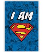 Dc Comics: The Good Gift - Superman - I Am Superman (Magnet / Magnete)