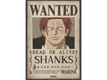 One Piece - Poster Ricercata 