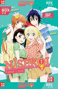 Nisekoi. False Love. Stagione 1. Parte 1 (2 DVD)