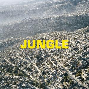 Jungle - Vinile LP di The Blaze