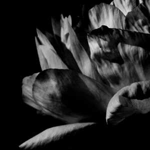 CD La Ou Passe La Nuit Louise Roam