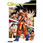 Poster Dragon Ball. Son Goku Story