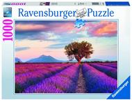 Ravensburger - Puzzle Campi di Lavanda, 1000 Pezzi, Puzzle Adulti