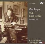 Blick in Die Lieder - CD Audio di Max Reger