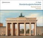 Brandenburgische Konzerte