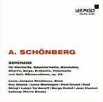 Serenade Op.24