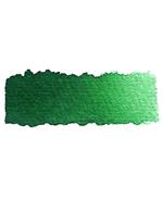 Schmincke Acquarello Horadam 1/2 Godet Sr.1 521-Verde Di Hooker