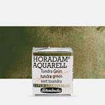 Acquarello Horadam Super Granulation 1/2 Godet Verde Tundra