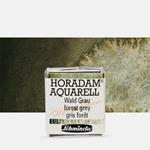 Acquarello Horadam Super Granulation 1/2 Godet Grigio Bosco