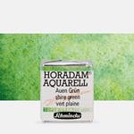 Acquarello Horadam Super Granulation 1/2 Godet Verde Pradera