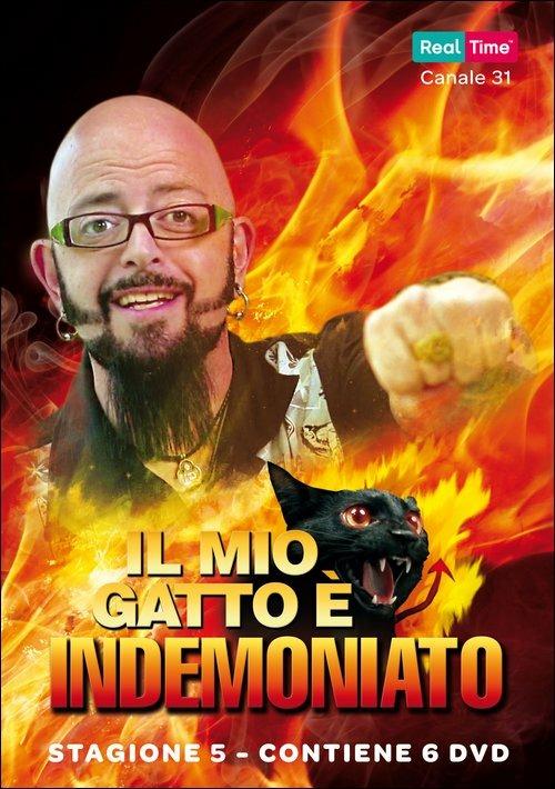 Il mio gatto è indemoniato (6 DVD) - DVD