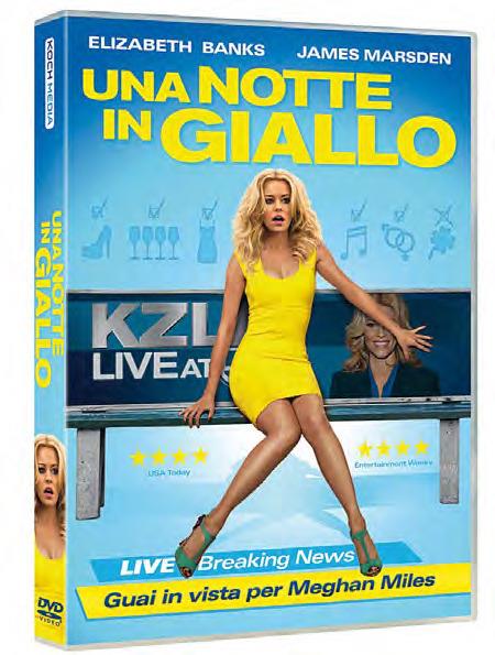 Una notte in giallo di Steven Brill - DVD