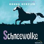 03: Schneewolke