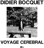 Voyage Cerebral