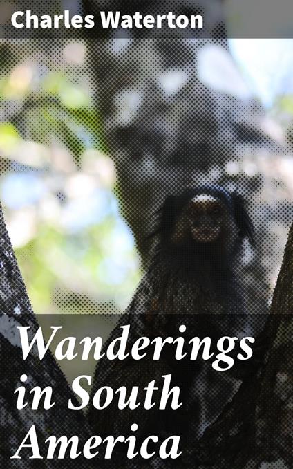 Wanderings in South America