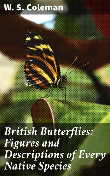 British Butterflies: Figures and Descriptions of Every Native Species