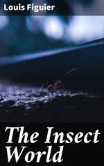 The Insect World