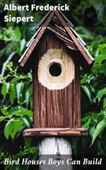 Bird Houses Boys Can Build