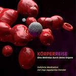 Körperreise - Eine Weltreise durch Deine Organe