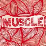 Muscle