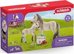 42430 - Schleich-S - Kiit Pronto Soccorso Di Hannah