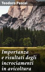 Importanza e risultati degli incrociamenti in avicoltura